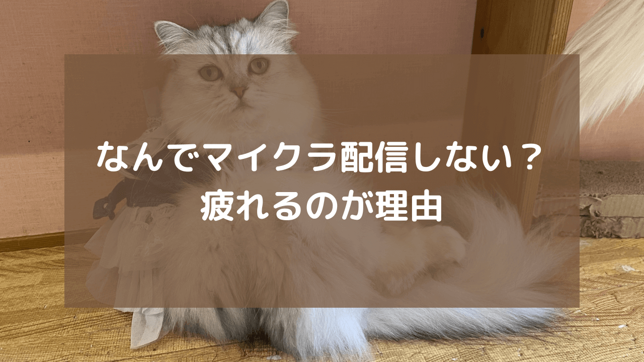 【正直な感想】Twitchでなぜマイクラを配信しないのか？その理由を解説